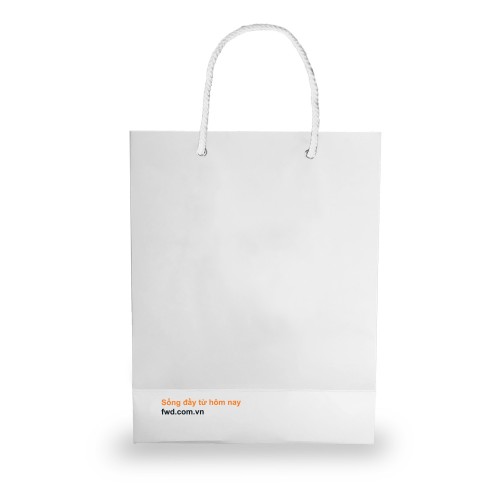 TÚI GIẤY TRẮNG ( 5 CÁI )