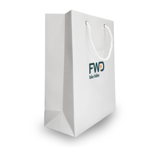 TÚI GIẤY TRẮNG ( 5 CÁI )